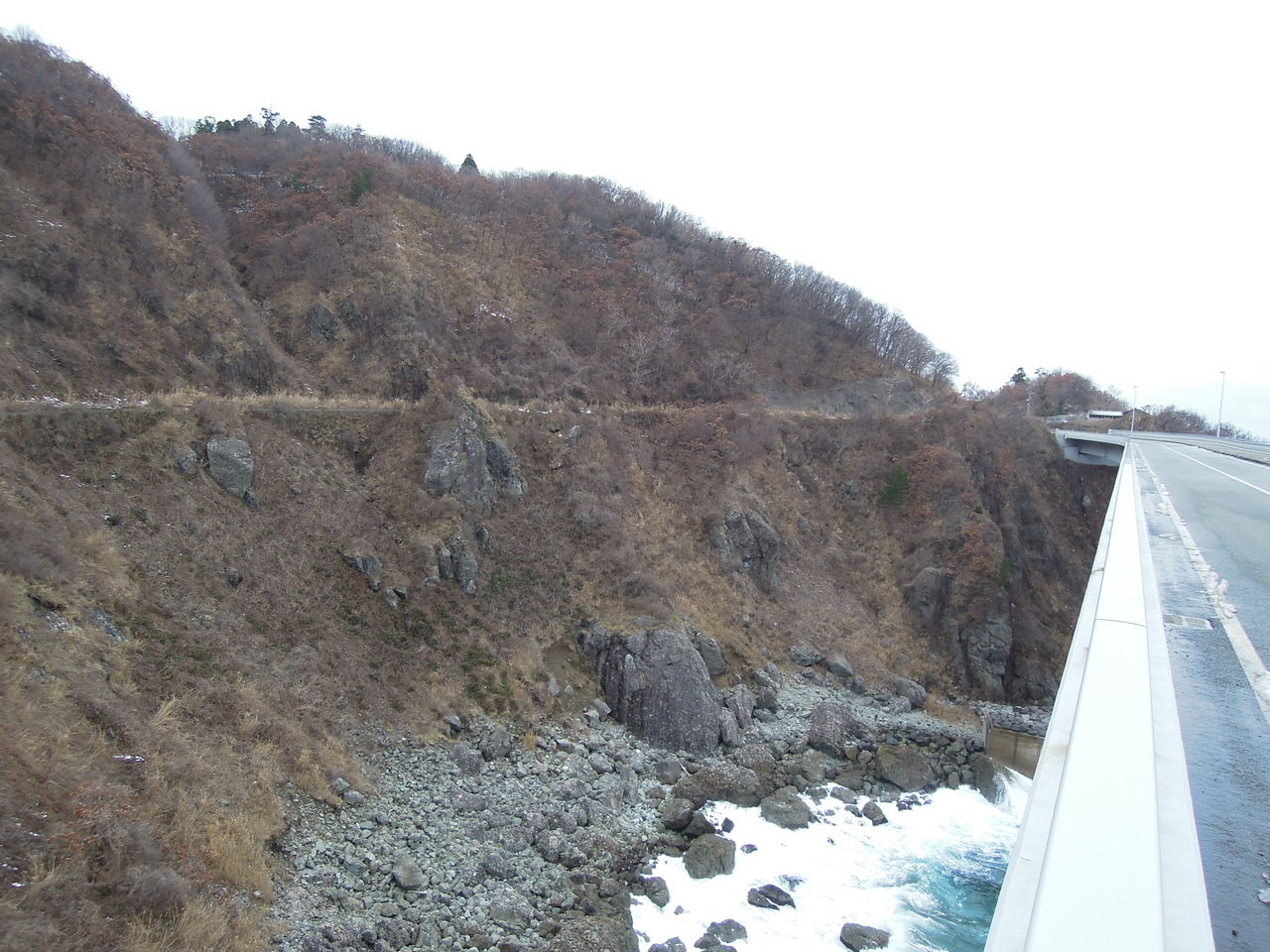 DSCN3105