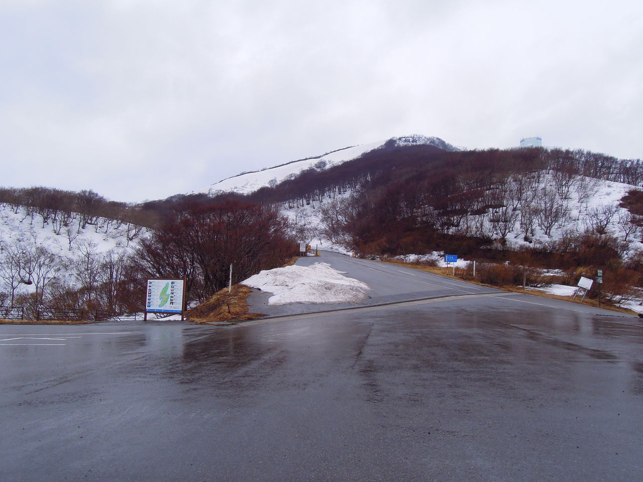 DSCN8102