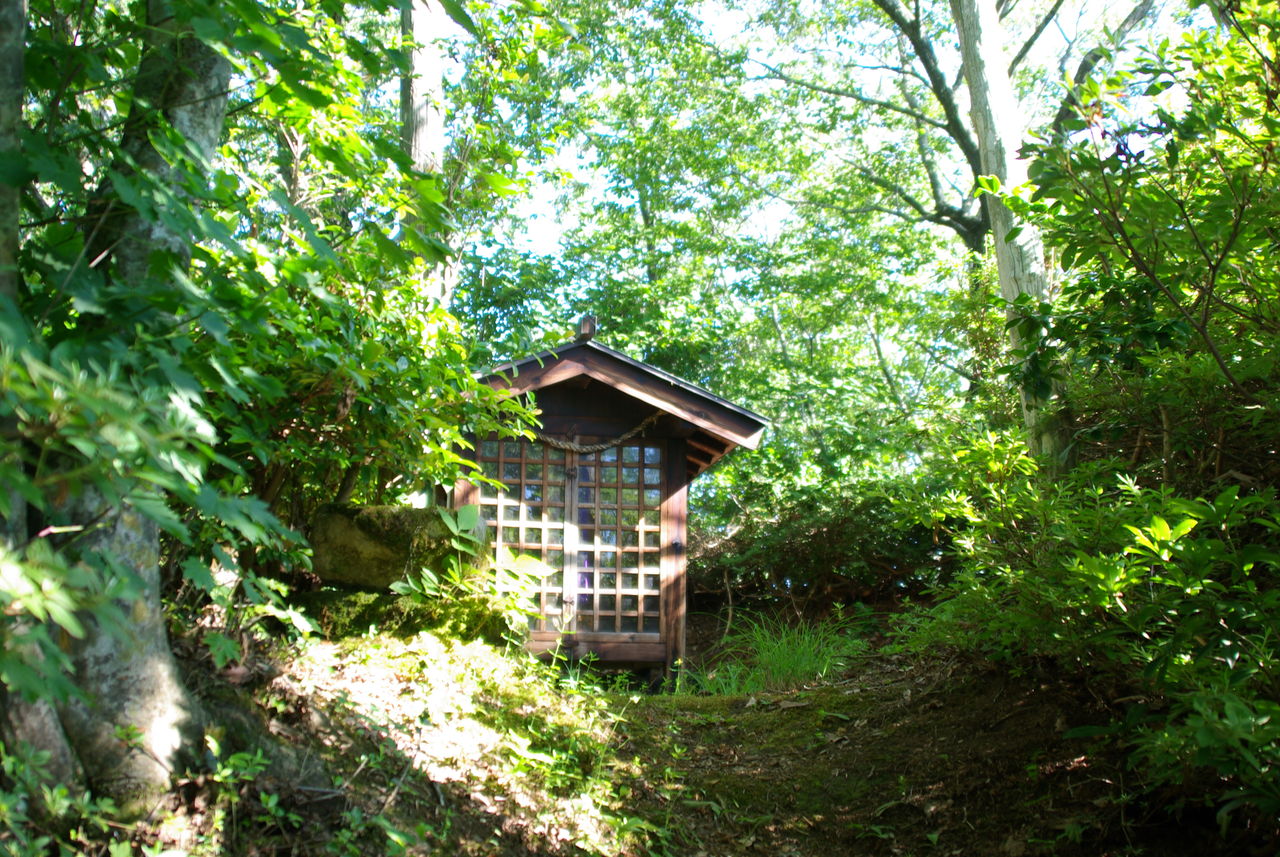IMGP0628