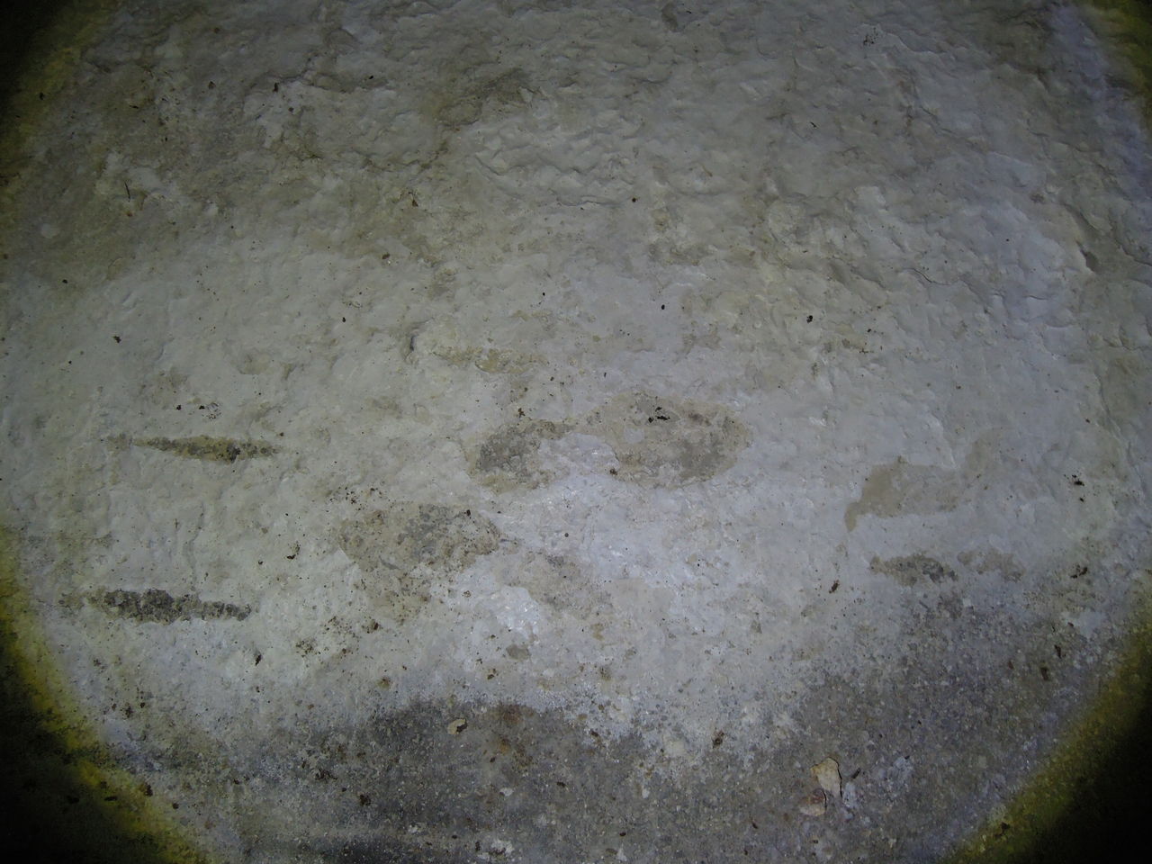 DSCN3086