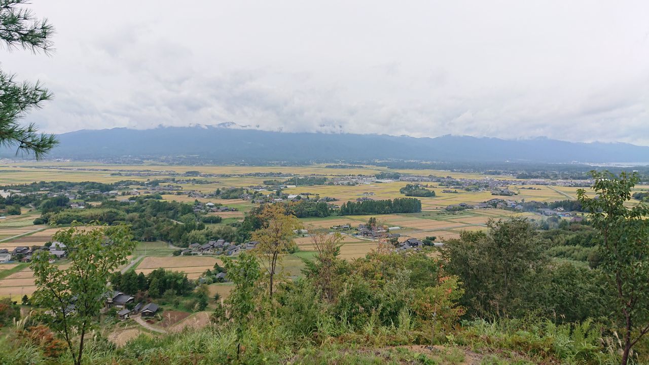 DSC_0251