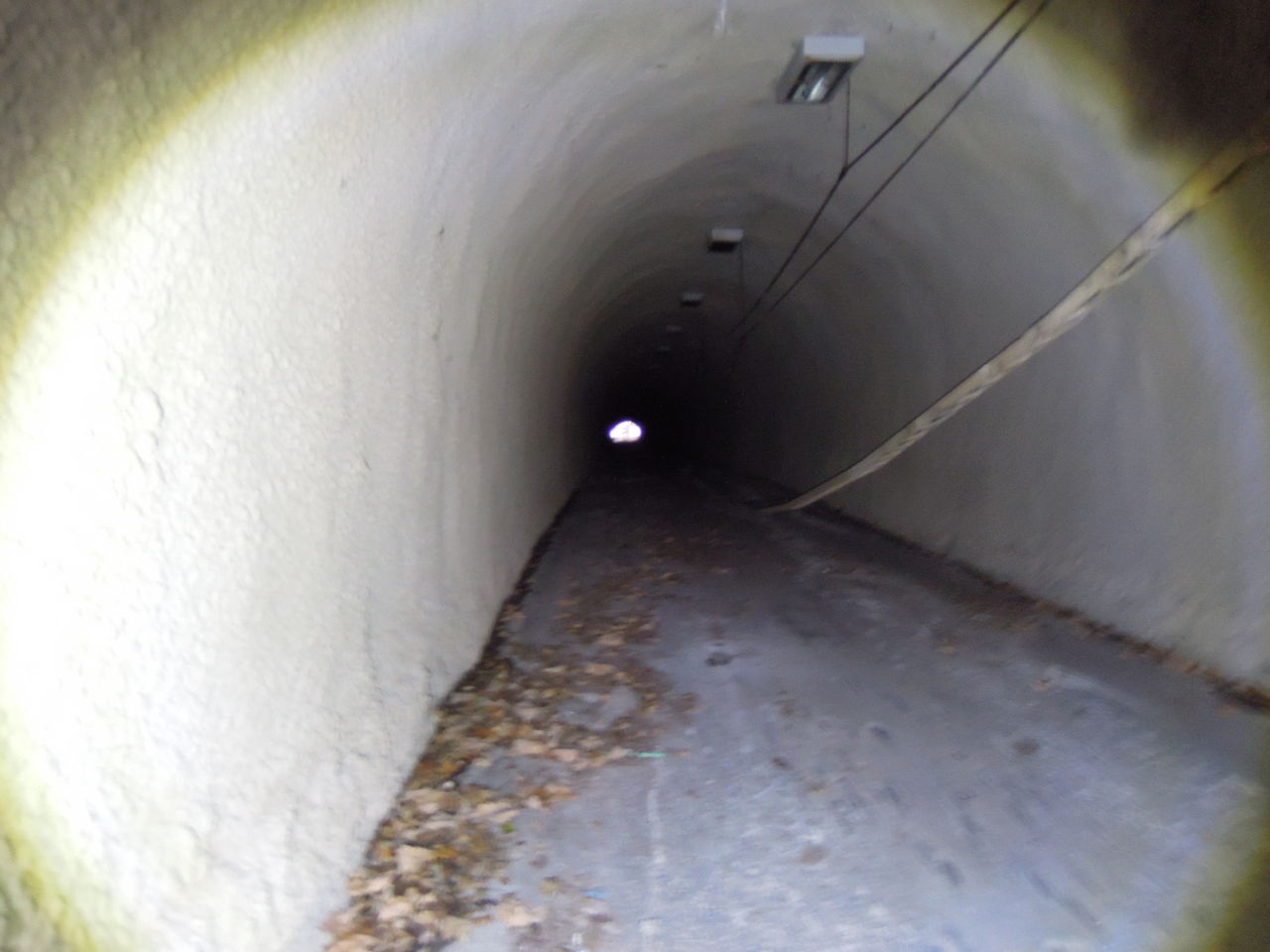 DSCN3082
