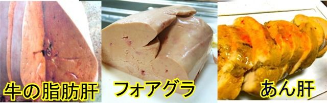 トリプル脂肪肝は周産期病原因の3冠王 肝黄 だぁ ウッシウッシでエッサほいサッサ