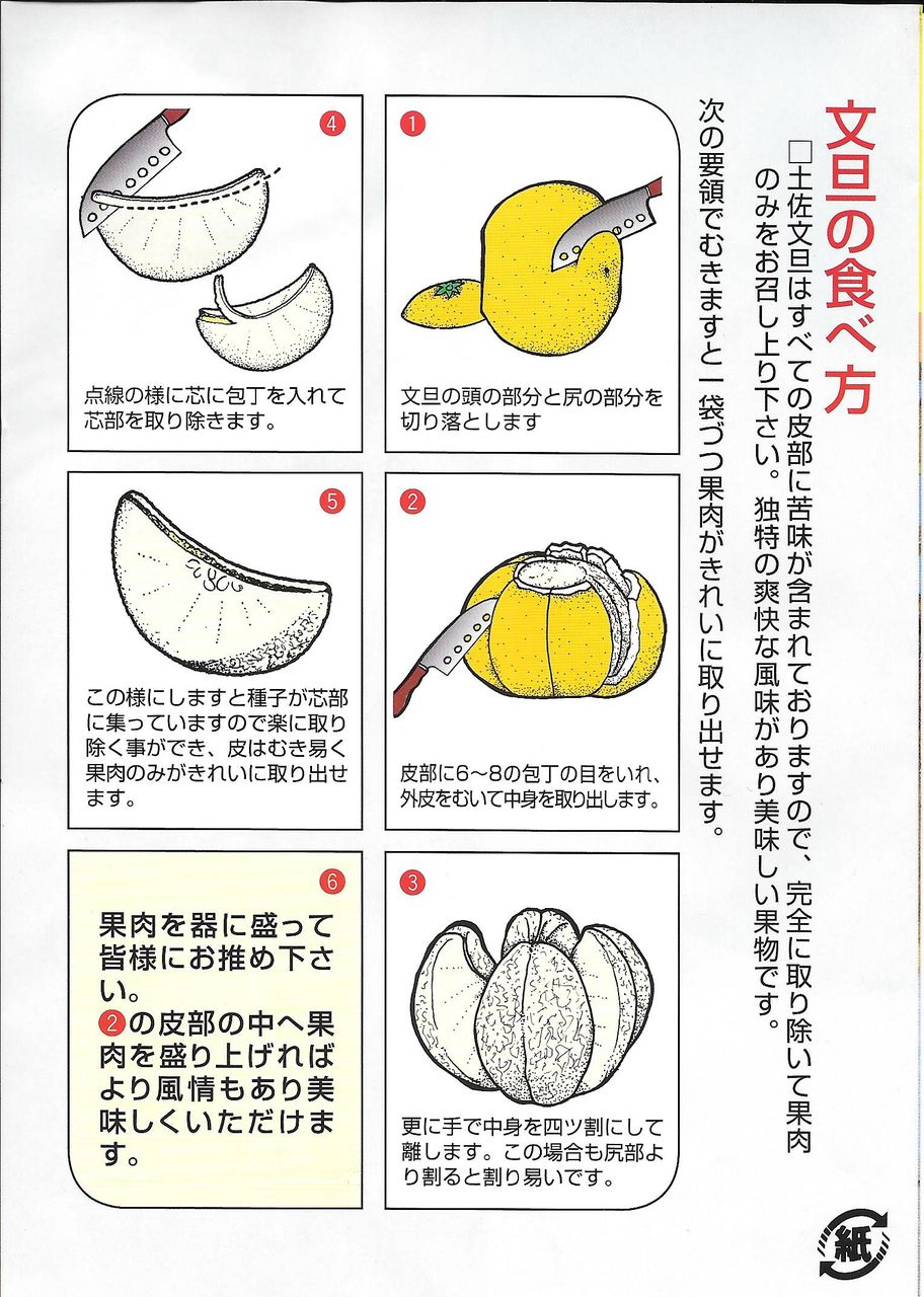 方 食べ 文旦 の
