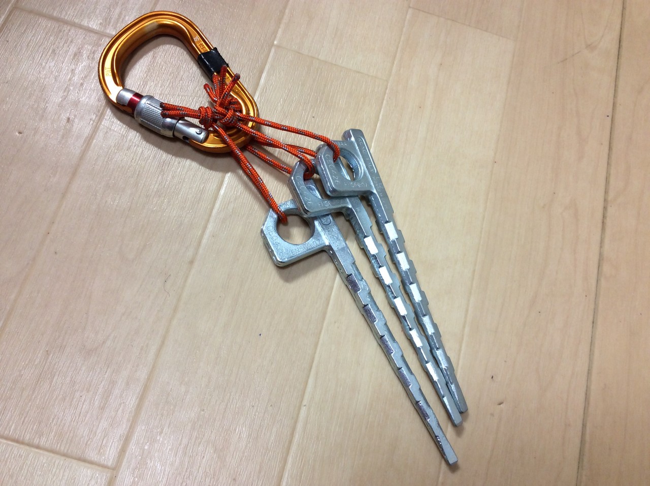 コング アルパインピトン ワーティー(^_^)v : えれぇこった