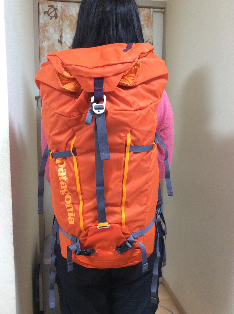 Patagonia ボストンバッグ 黄緑 patagonia パタゴニア アセンジョニスト・パック 55L