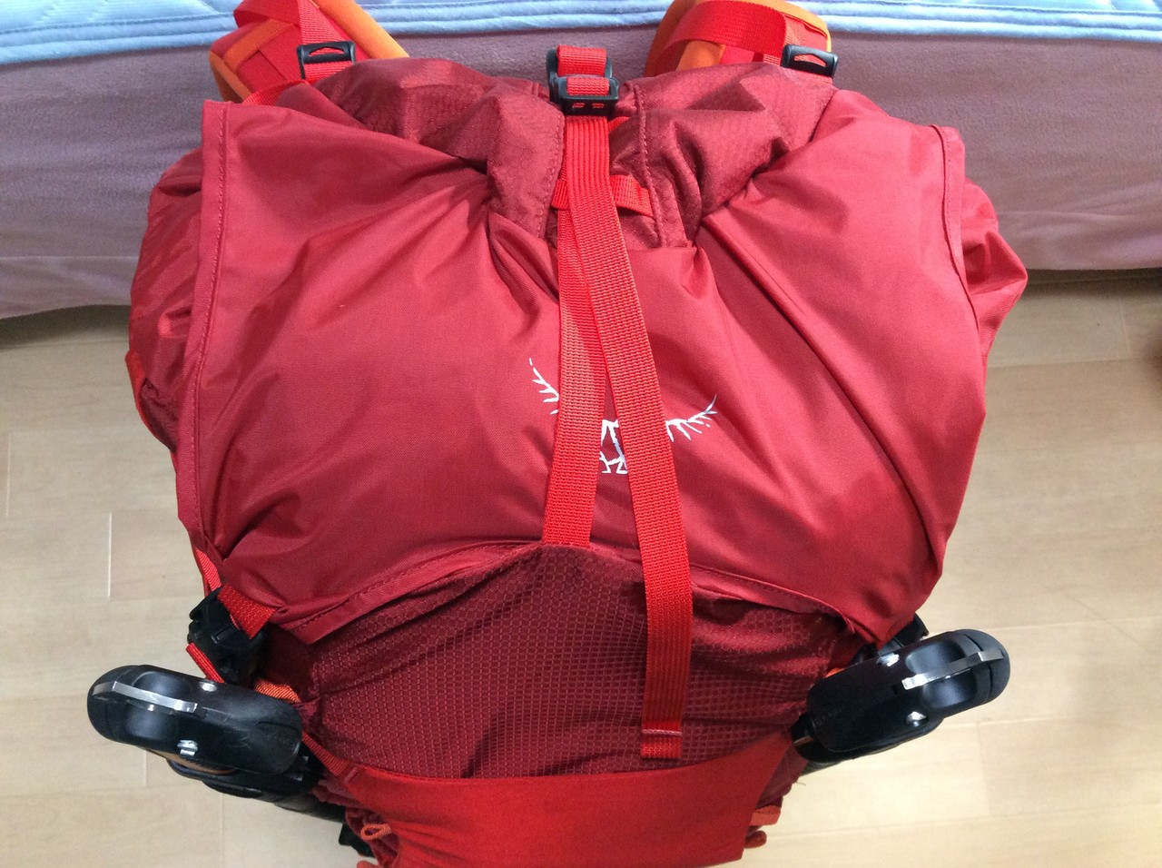 2号用アルパインパック 第二弾はバリアント(^_^)v : えれぇこっ 2号用アルパインパック 第二弾はバリアント(^_^)v : えれぇこっ