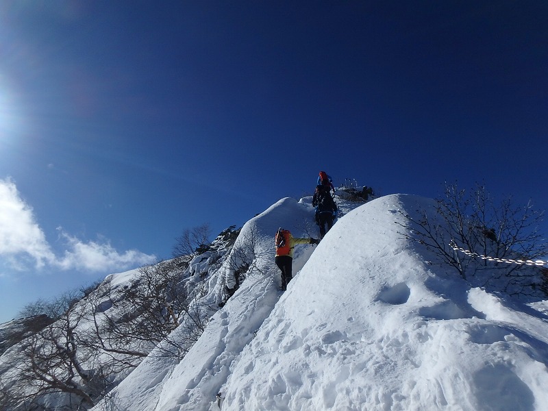 皆さん良い新年をお迎え下さいねぇ えれぇこった えれぇこった Hiro日記