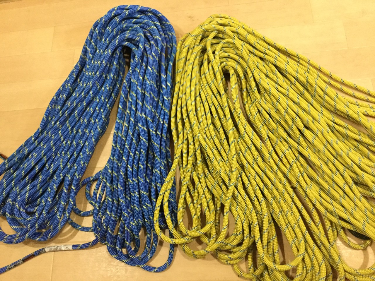 MAMMUTフェニックスドライ8.0mm/50M(^_-)-☆ : えれぇこった！えれぇ