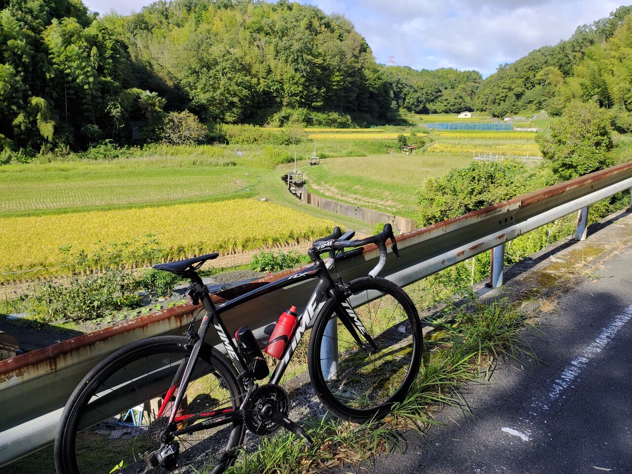一方 通行 自転車 の 走り 方