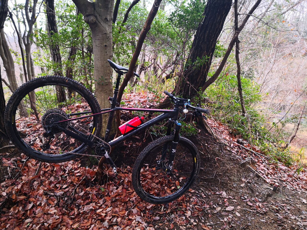 自転車も一方通行は守るのか