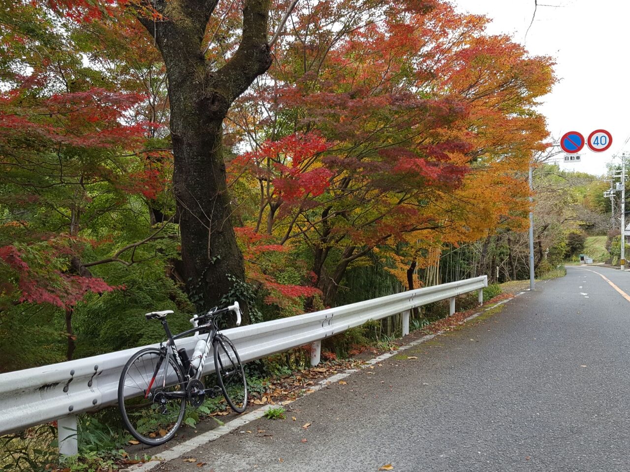 ロード 金剛トンネル 山麓 水越峠 のりじいの一方通行な日々 ロード 金剛トンネル 山麓 水越峠 のりじいの一方通行な日々