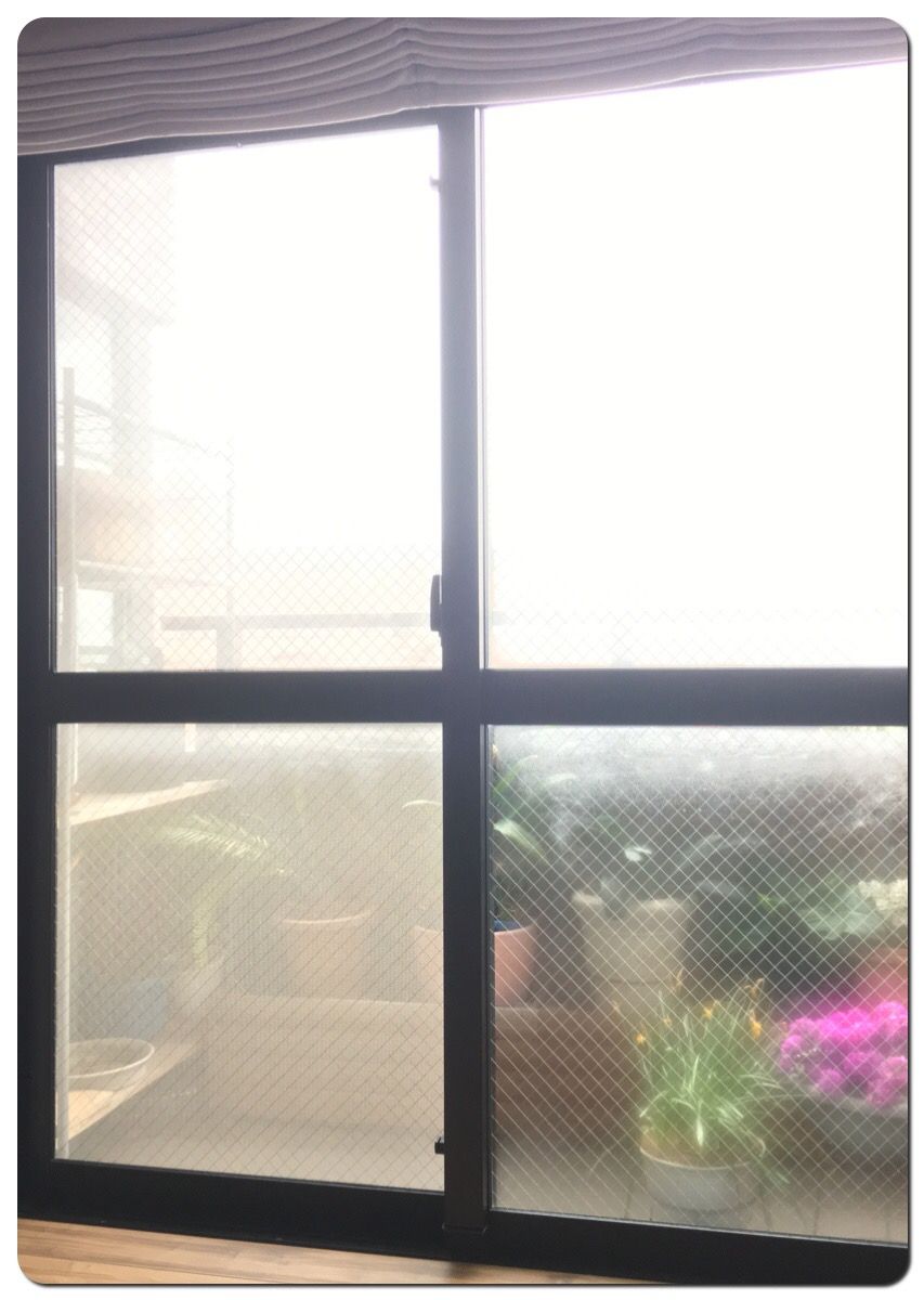 曇りガラスを手で拭いて K K 朗々 老々 日記