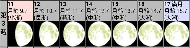 今夜 見れたらいいな アジュの写真 お さん ナイス やまか 今夜 見れたらいいな アジュの写真 お さん ナイス やまか