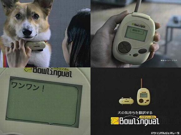 可愛いけど笑える動物たちの画像 まとめbook