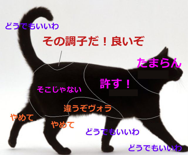 画像あり 猫大喜び 猫がさわると喜ぶ場所 喜ばない場所のまとめ まとめんたる W 2chまとめ 画像あり 猫大喜び 猫がさわると喜ぶ場所 喜ばない場所のまとめ まとめんたる W 2chまとめ
