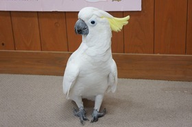 9b980591.jpg
