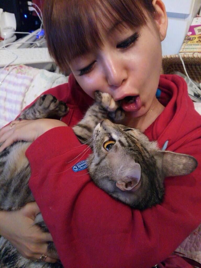 画像あり 中川翔子 28 全力で猫に嫌がられるwww まとめんたる W 2chまとめ 画像あり 中川翔子 28 全力で猫に嫌がられるwww まとめんたる W 2chまとめ