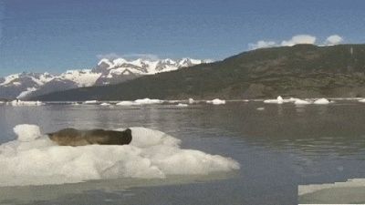 gif画像 さぁ 私をgifで笑わせて眠らせてみろwwwwwwwwwwwww まとめも gif画像 さぁ 私をgifで笑わせて眠らせてみろwwwwwwwwwwwww まとめも