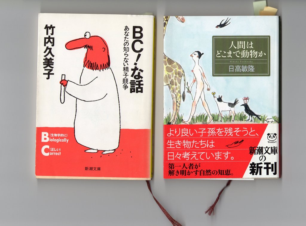 もの言う翔年 ﾕﾘｳｽ 睾丸の大きさと育児参加に関連あり 大きいほどよくない