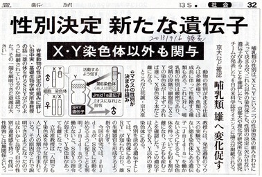新性決定遺伝子