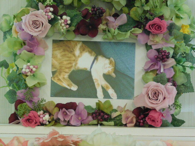 城里町那珂西の愛猫とらまるちゃんの個別火葬 ペット火葬 霊園 城里町 水戸ペットセレモニーのblog ペット火葬 霊園 茨城 水戸市