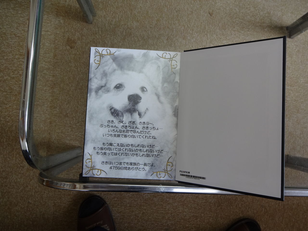 愛犬さきちゃんのアルバム ペット霊園 水戸市 水戸ペットセレモニーのblog ペット火葬 霊園 茨城 水戸市