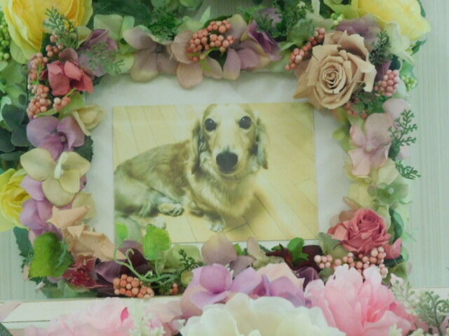 日立市のm ダックス愛犬レオちゃんの個別火葬 ペット火葬 霊園 日立市 水戸ペットセレモニーのblog ペット火葬 霊園 茨城 水戸市