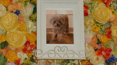 2016,1,16助川家そらちゃん