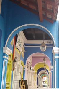 IMGP0131