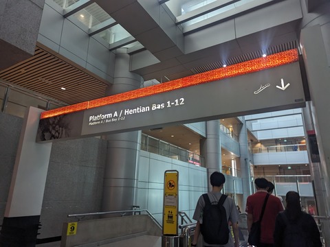 PXL_20231109_013010388
