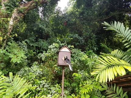 20190504_090031_1