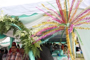 bunga mangga
