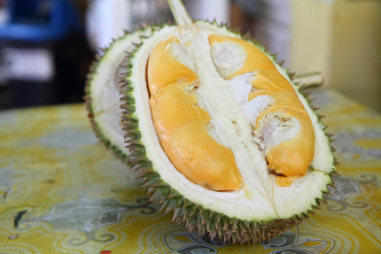 Durian_1