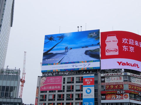 DSCF6206 しぶはち