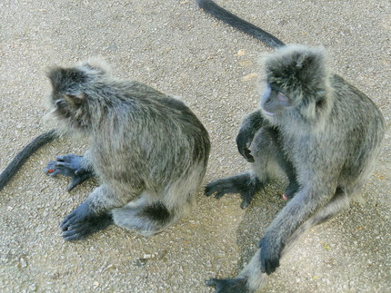 P1080235