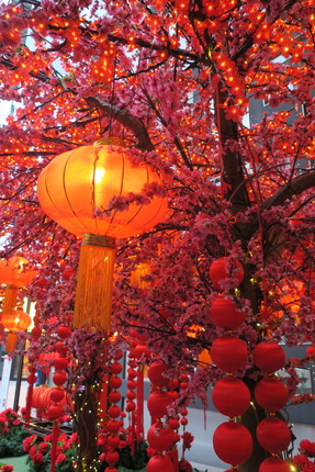 IMG_0399_pavilion