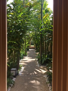 gaya_island_resort49