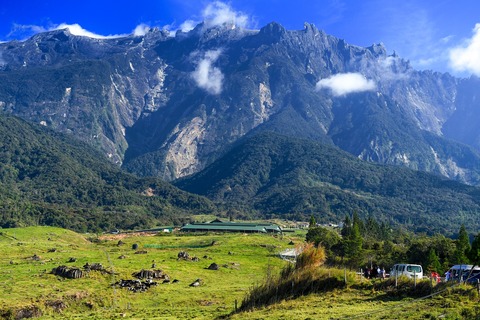 Dairy Farm Kundasang 3
