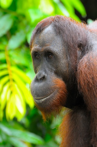 WhatsApp画像 2025-08-19 16.09.24_fa39b5f1