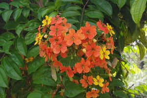 IMGP0215