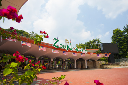 ZOO NEGARA1