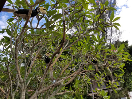 20190505_163432_1