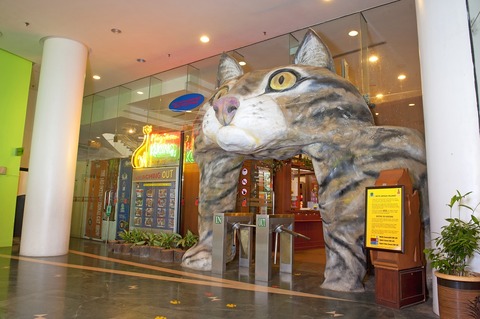 CAT MUSEUM