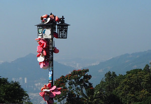 lovelock
