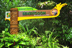 KCN_Semenggoh_5535