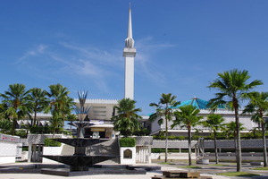 IMGP8625