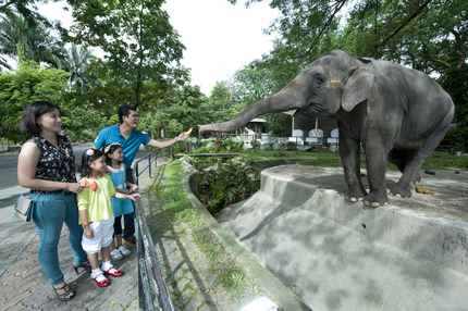 APAI-ZOO NEGARA 2