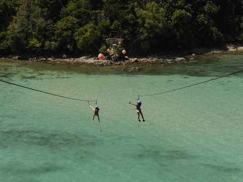 Coral_Flyer (9)_1