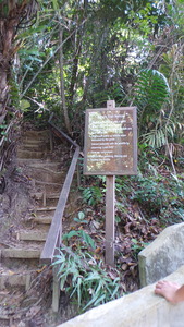 gaya_nature_walk20160706_091802_
